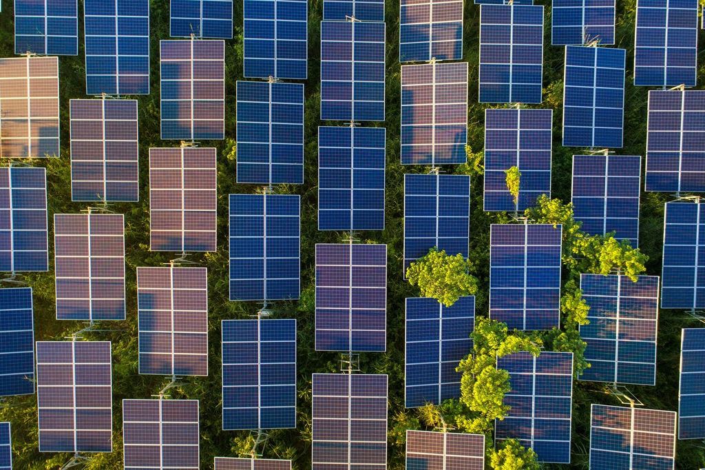 The Future of Solar Energy in Queensland